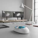 Mouse Inalambrico Maxell, MOWL-320, Limited edition TORTUGA, 4000dpi, PC-MAC